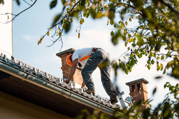 Best Sealant for Roof  in Athena, OR